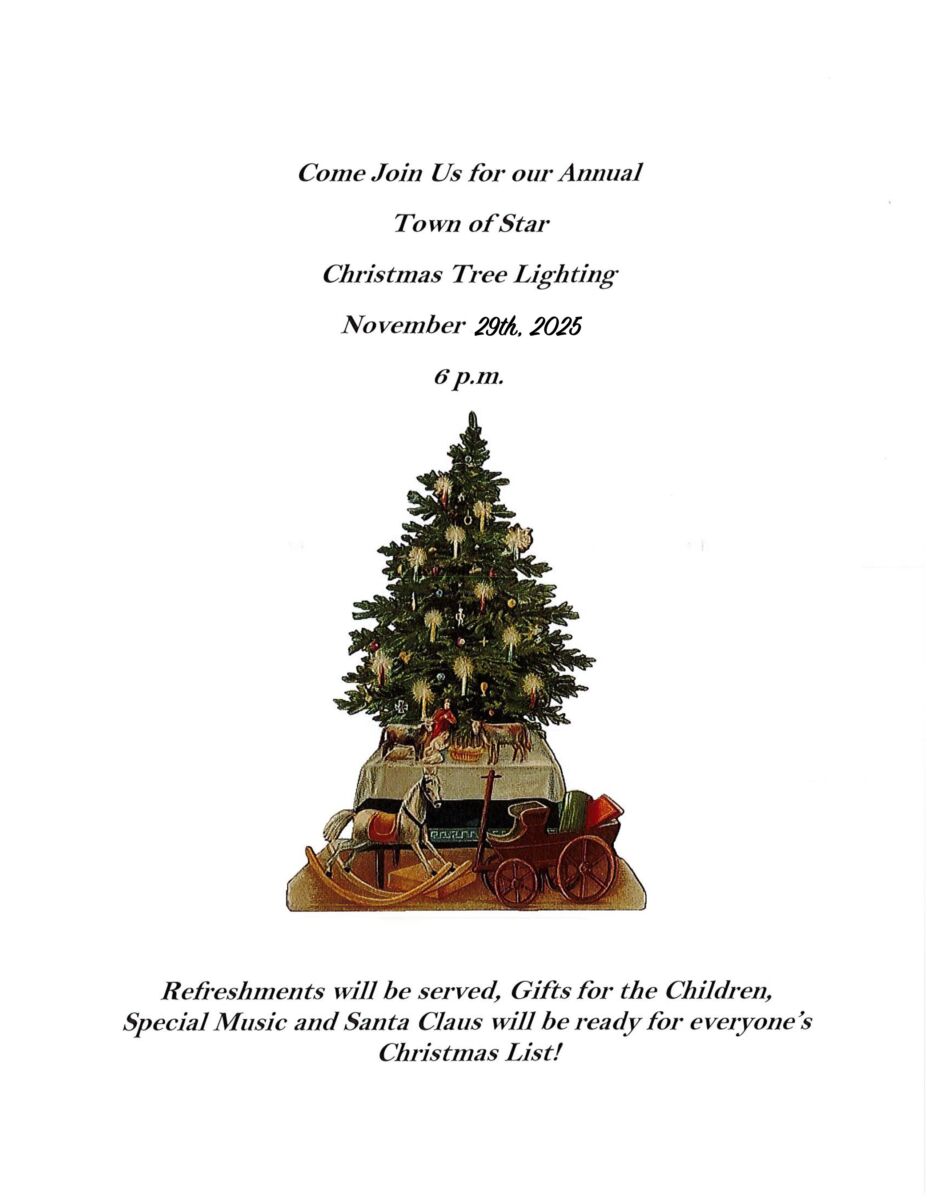 Star NC Tree Lighting 2025